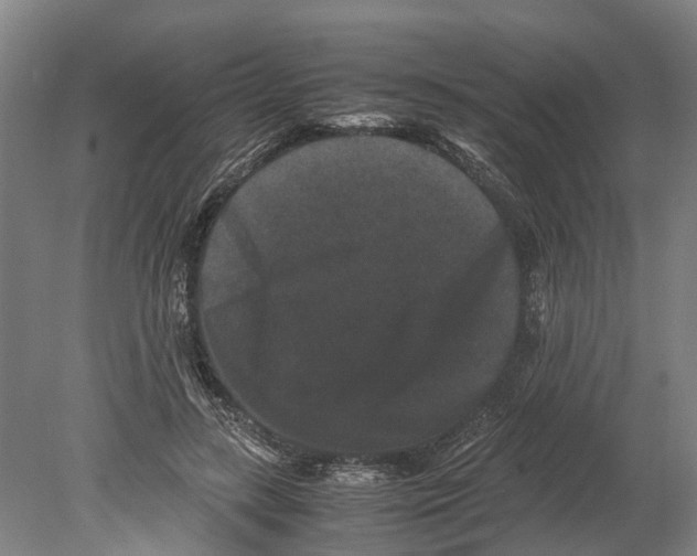 X0000080190547200701051725