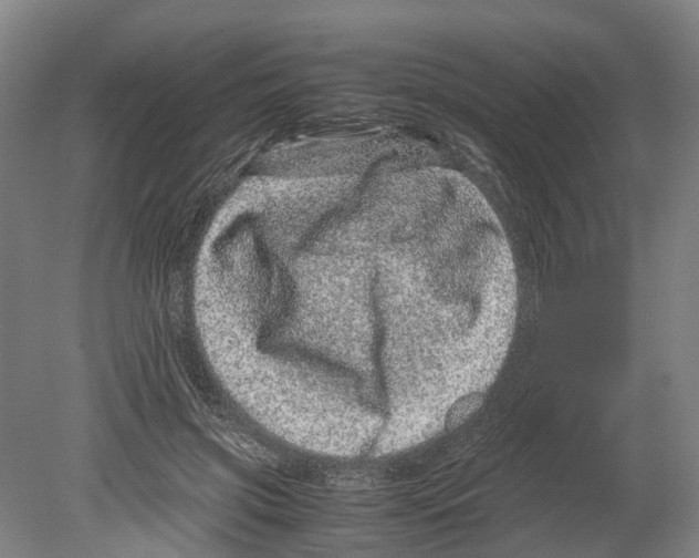 X0000080190549200701051725