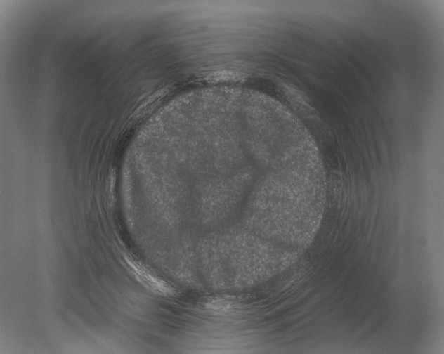 X0000080190550200701051725