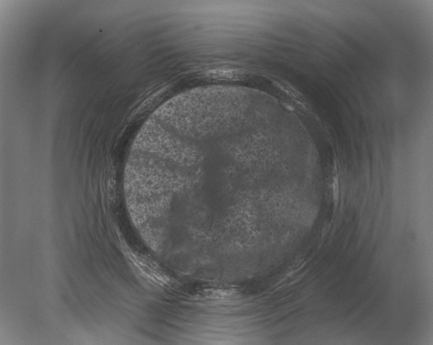 X0000080190552200701051726