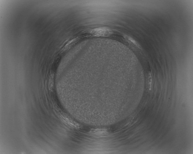 X0000080190554200701051726