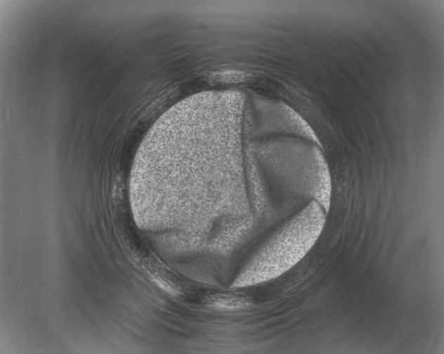 X0000080190555200701051726