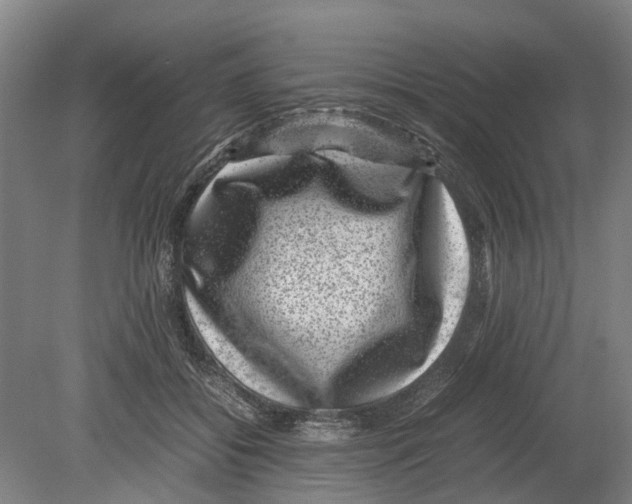 X0000080190556200701051726