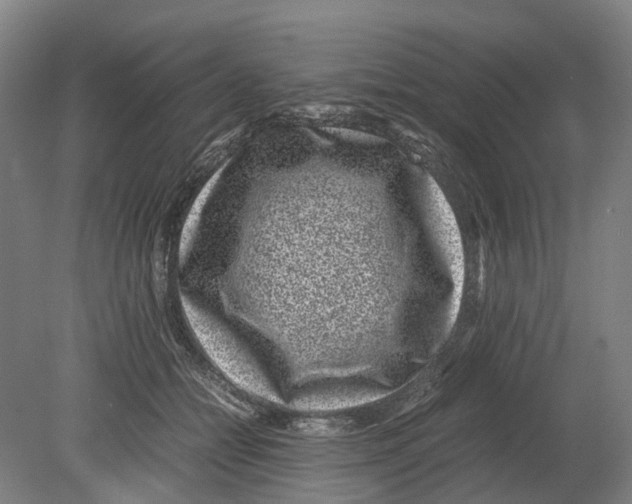 X0000080190558200701051726