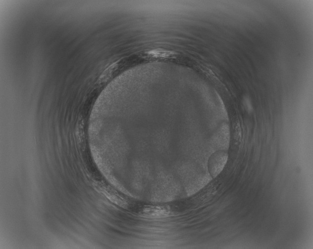 X0000080190559200701051726