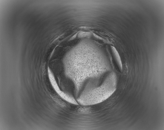 X0000080190560200701051726