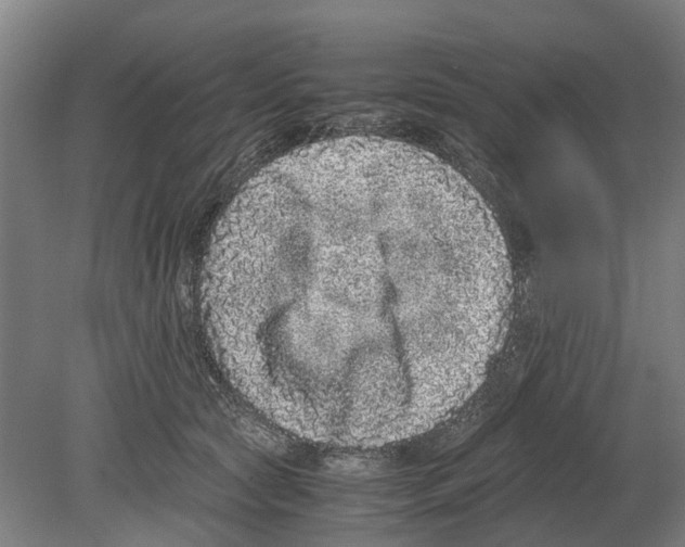 X0000080190561200701051726