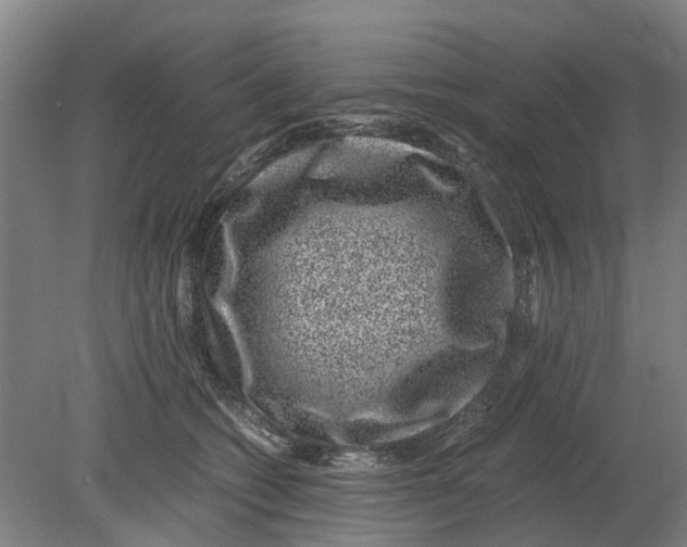 X0000080190562200701051726