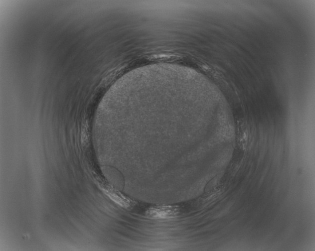 X0000080190563200701051726