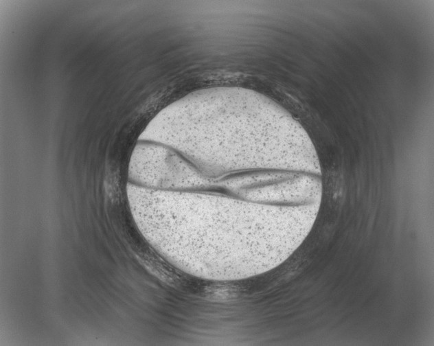 X0000080190564200701051726