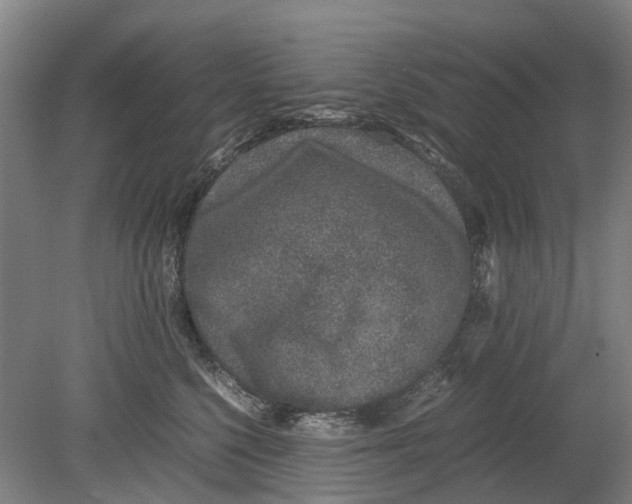 X0000080190568200701051726