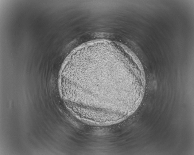 X0000080190569200701051726