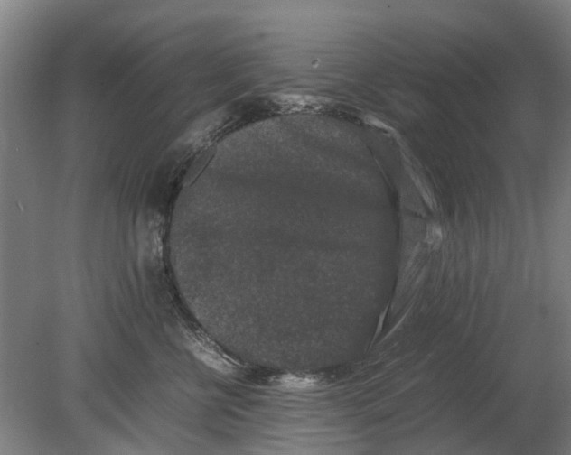 X0000080190570200701051726