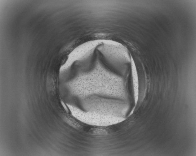 X0000080190572200701051726