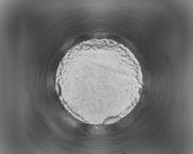 X0000080190573200701051726