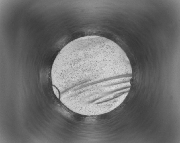 X0000080190574200701051726