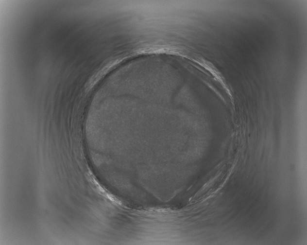 X0000080190577200701051725