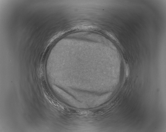 X0000080190579200701051725