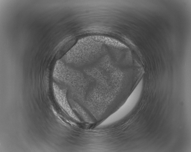 X0000080190580200701051725