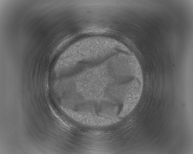 X0000080190582200701051725