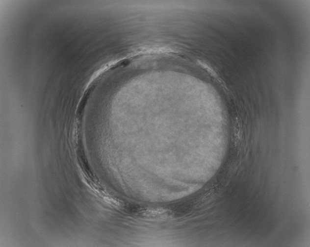 X0000080190583200701051725