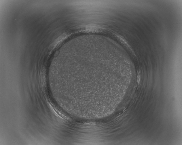 X0000080190588200701051725