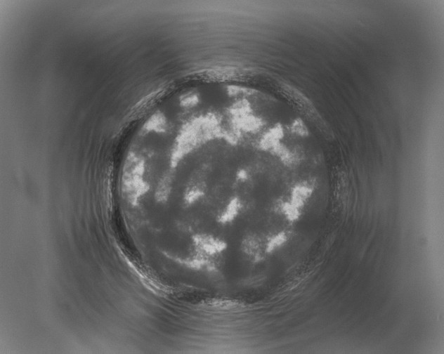 X0000080190590200701051725