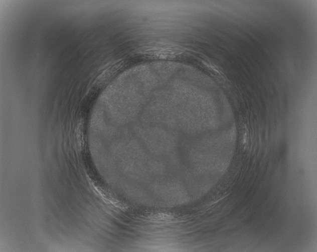 X0000080190594200701051725