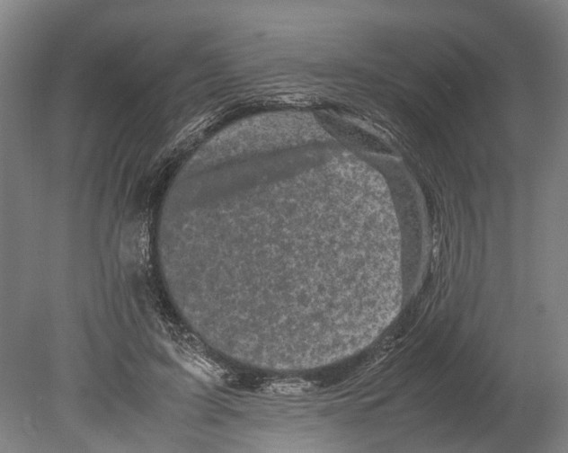 X0000080190595200701051725