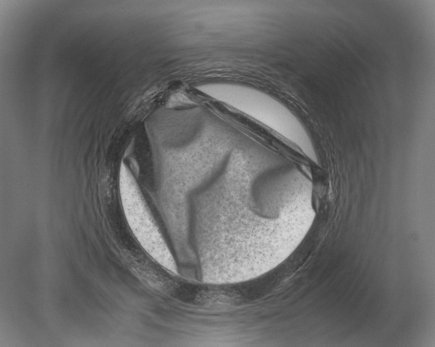 X0000080190597200701051725