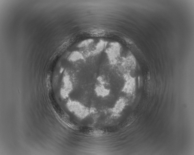 X0000080190598200701051725