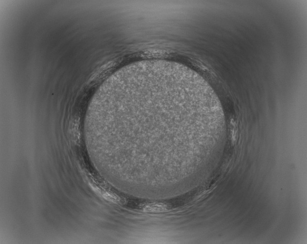 X0000080190599200701051725