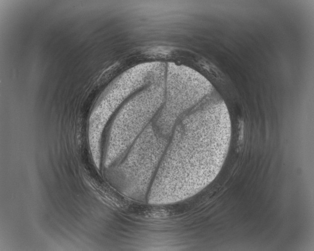 X0000080190600200701051725