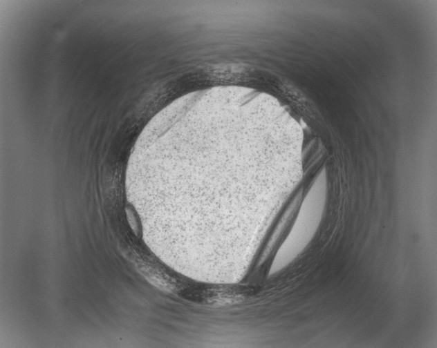 X0000080190601200701051725