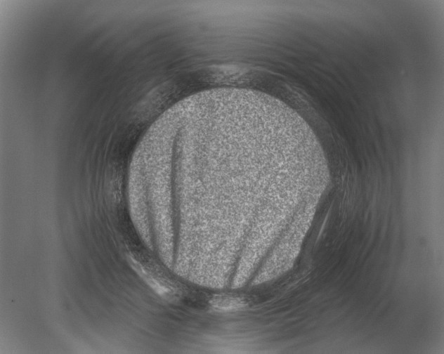 X0000080190602200701051725