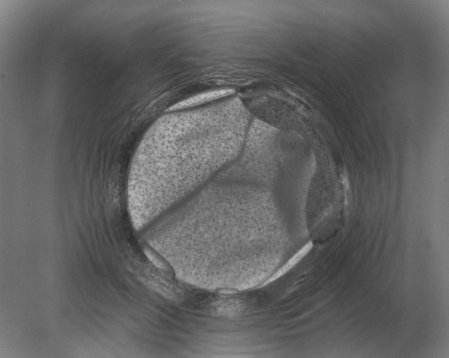 X0000080190604200701051725