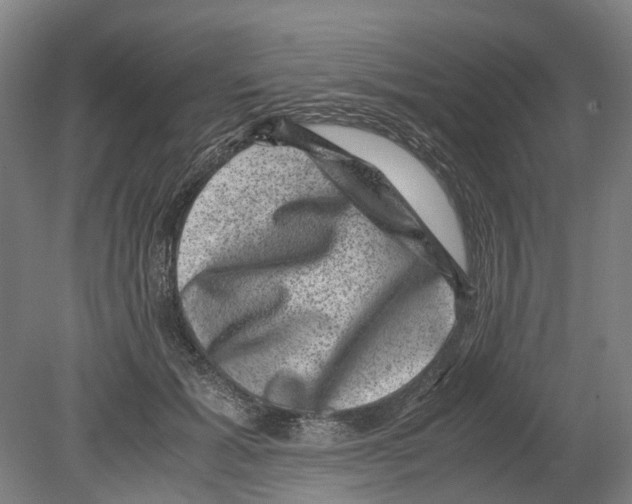 X0000080190605200701051725