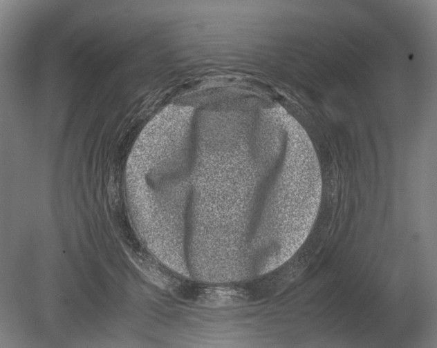 X0000080190607200701051725