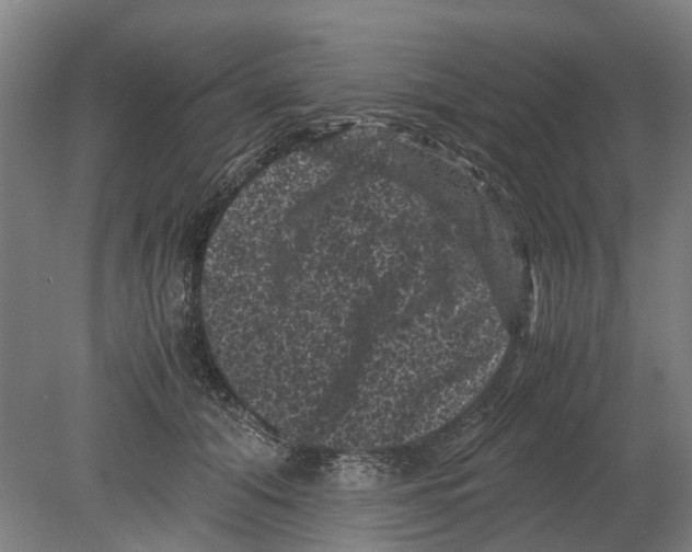 X0000080190608200701051725