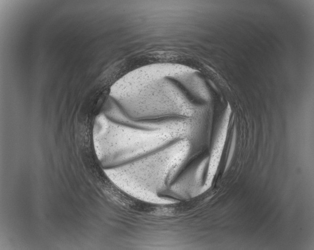 X0000080190609200701051725