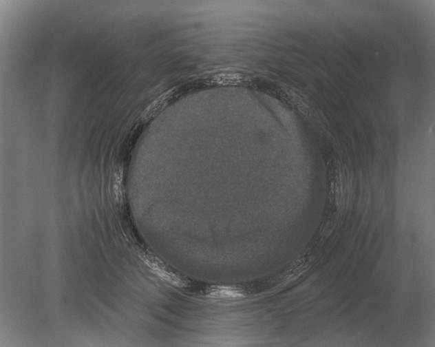 X0000080190610200701051725