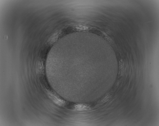 X0000080190614200701051724