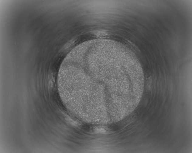 X0000080190618200701051724