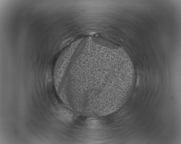 X0000080190620200701051724