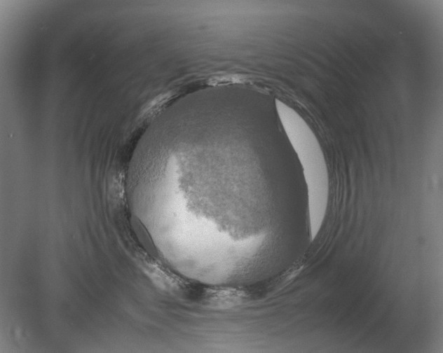 X0000080190621200701051724