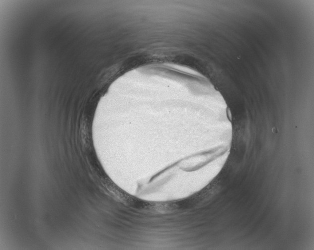 X0000080190623200701051724