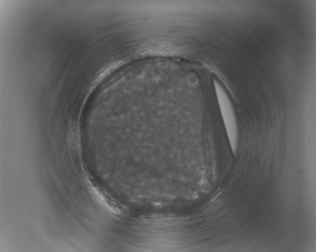 X0000080190626200701051724