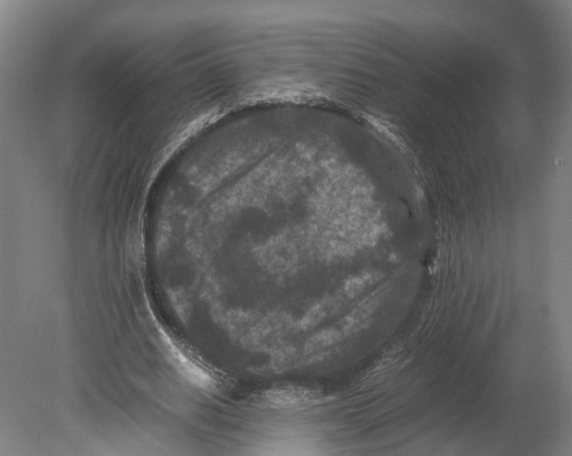 X0000080190630200701051724