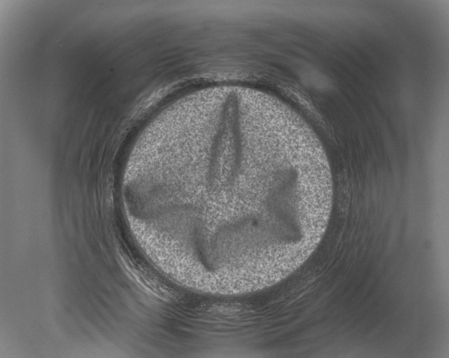 X0000080190631200701051724