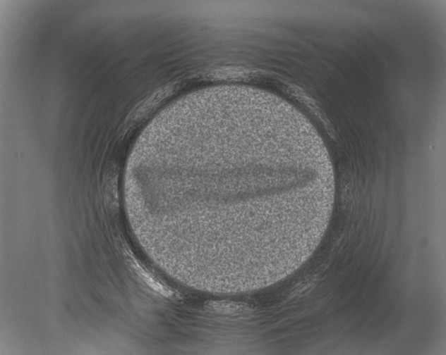 X0000080190633200701051724